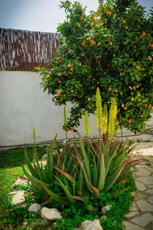 La Casita De Invitados Denia Dış mekan fotoğraf